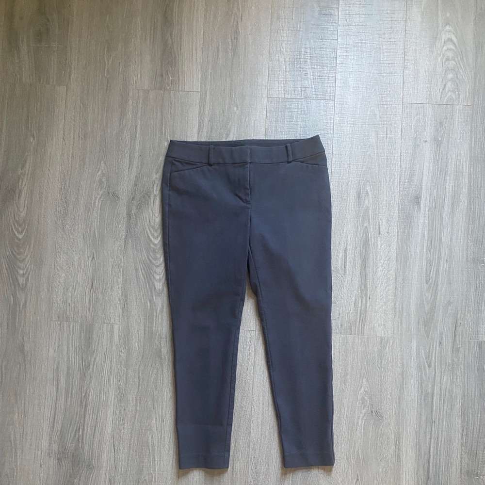 Ann Taylor Loft Gray Julie Ankle Pants (8)